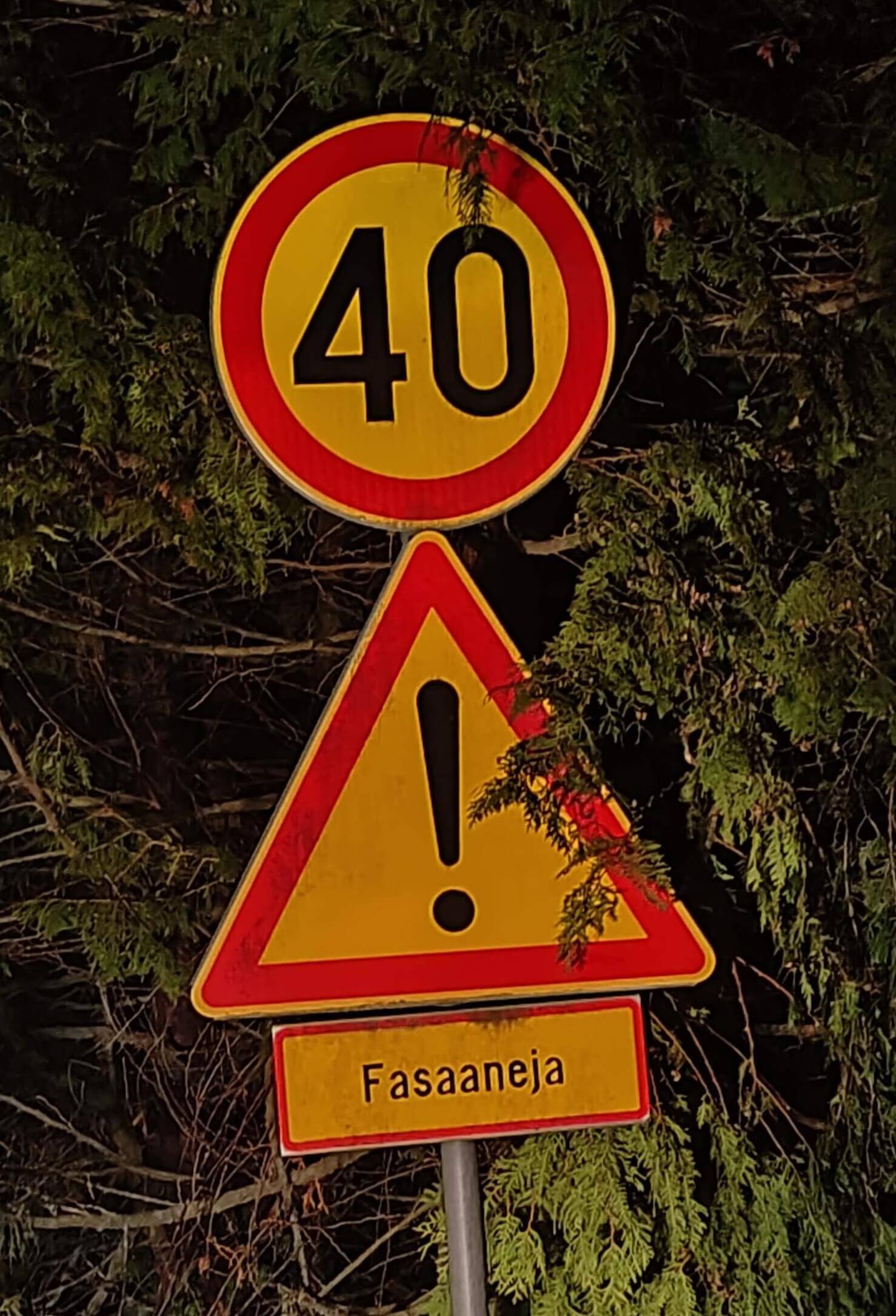 Liikennemerkki Fasaaneja